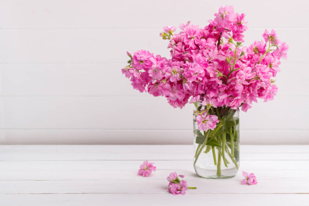 Boutiques de fleurs et animaux de compagnie